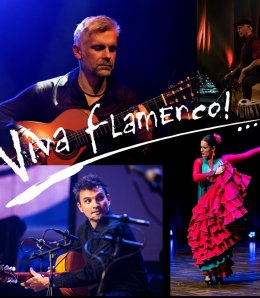 Viva Flamenco